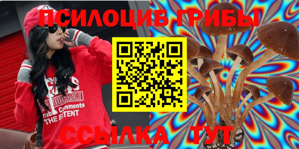 Галлюциногенные грибы Psilocybine cubensis Дубна