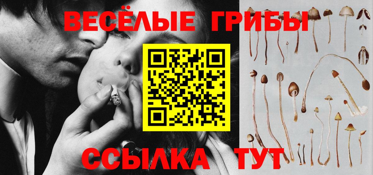  Cocaine Дубна