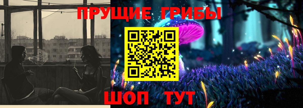 Псилоцибиновые грибы Psilocybe  Вход с VPN  Дубна 